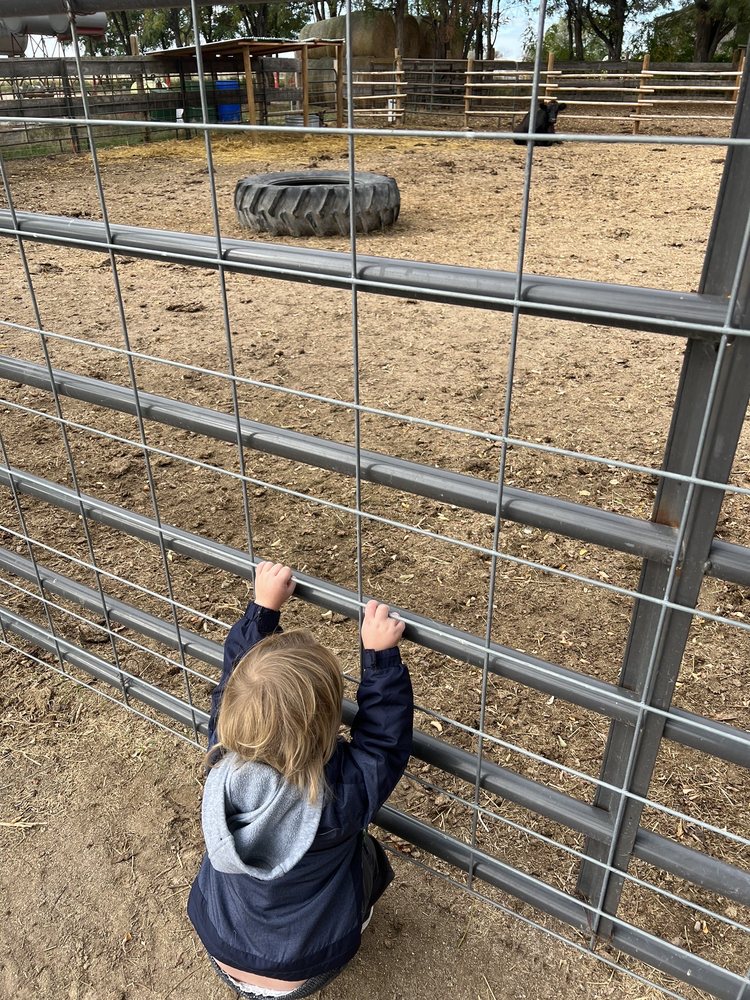 Back Forty Farms: A glimpse into the agricultural heritage near Meridian, Idaho.