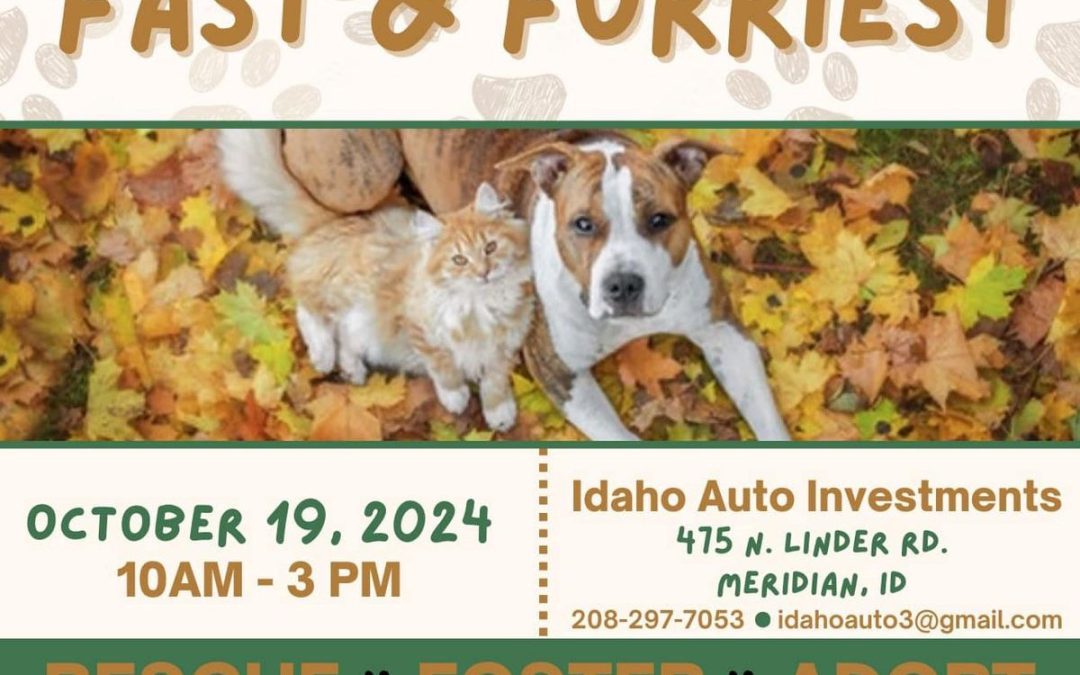 Support Animal Welfare at Meridian’s Exciting Fall Fast & Furriest Festival