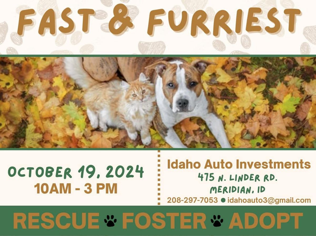 Support Animal Welfare at Meridian’s Exciting Fall Fast & Furriest Festival